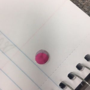 Meet your Posher, Delaney